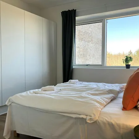 Spacious For 3 Διαμέρισμα Οντένσε